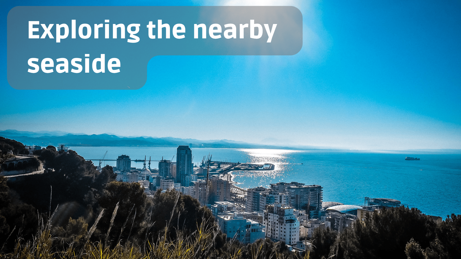 Exploring the seaside